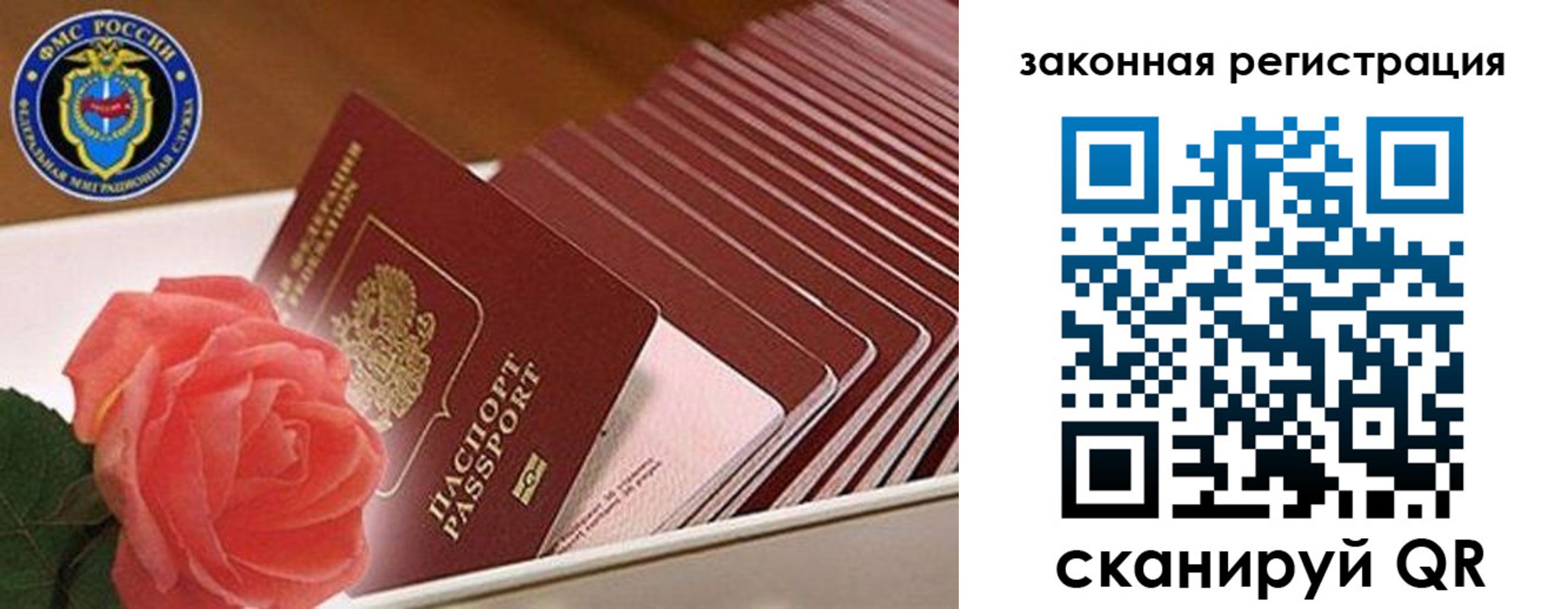 пропишу в квартире в Курске