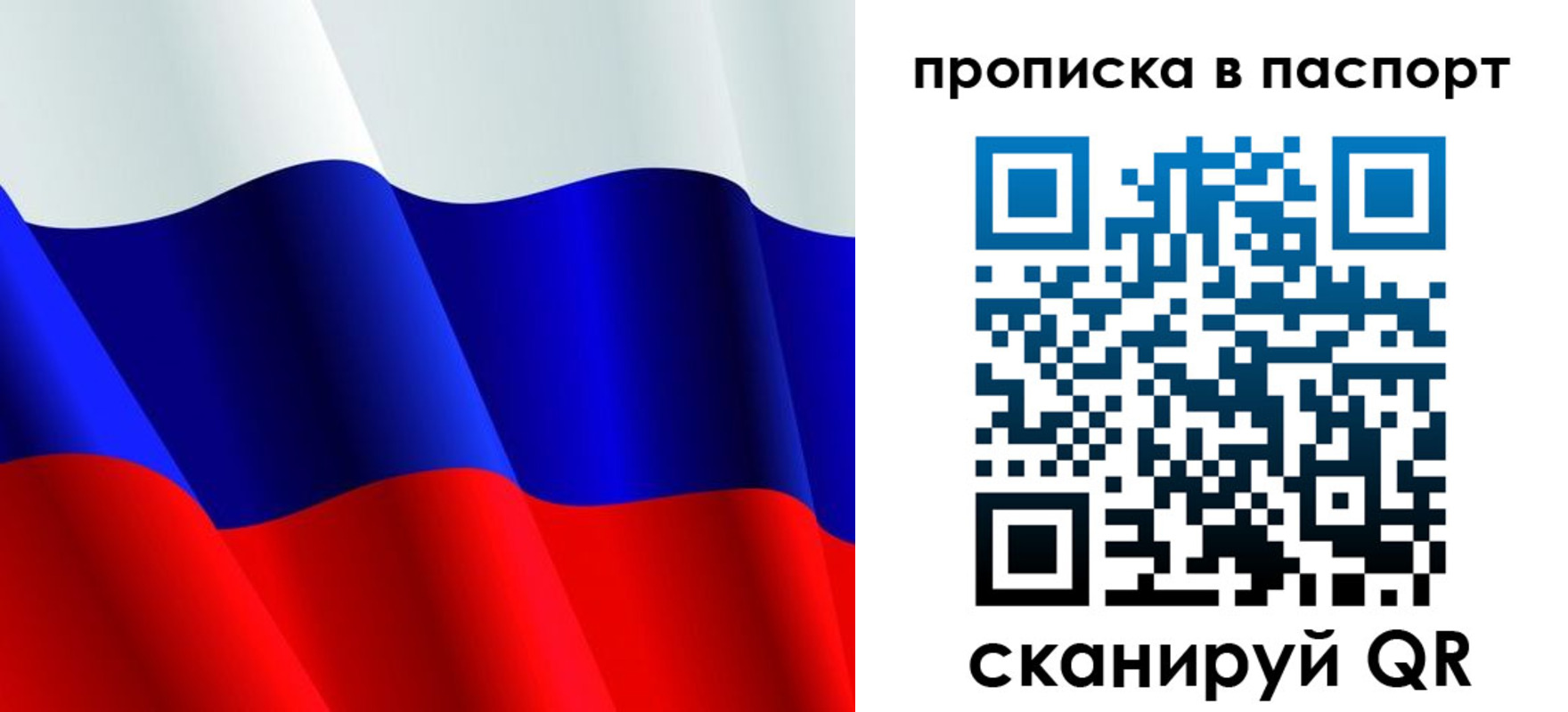 прописка в Курске